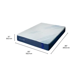 Dreamstar Queen Medium-Firm Memory Foam Mattress-in-a-Box - 60"