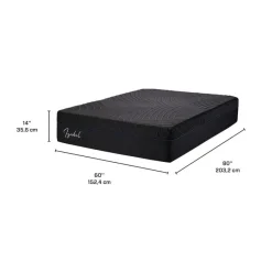 Dreamstar Queen Medium-Firm Memory Foam Mattress-in-a-Box - 60