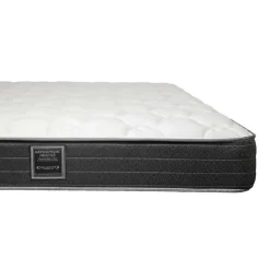 Dreamstar Queen Medium-FirmMattress with Springs - 60
