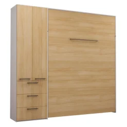 Queen Murphy Bed with Storage Unit -