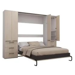 Queen Murphy Bed with Storage Unit -