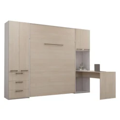 Queen Murphy Bed with Storage Units and Desk -