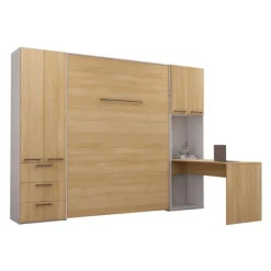 Queen Murphy Bed with Storage Units and Desk -
