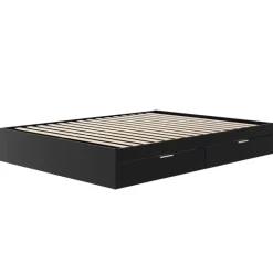Nexera Queen Platform Bed with 2-Drawer Storage (60