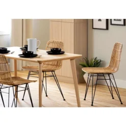 Meubles South Shore Rattan Dining Chair. Set Of 2 - South Shore
