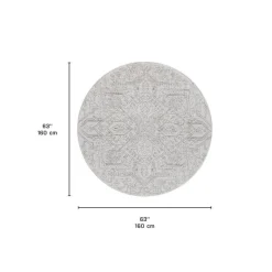 Round Indoor Rug - 5x5