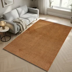 Rust Interior Area Rug - 6 x 9 ft