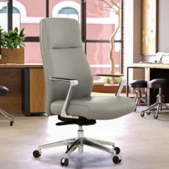 Sealy Office Chair