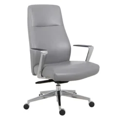 Sealy Office Chair