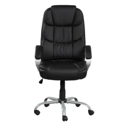 Sealy Office Chair