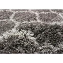 Shag Indoor Rug - 5 x 7