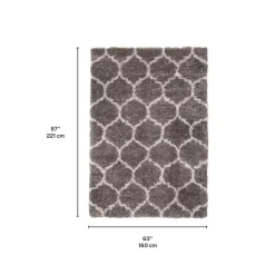 Shag Indoor Rug - 5 x 7