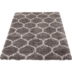 Shag Indoor Rug - 5 x 7