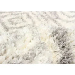 Shag Indoor Rug - 7 x 10
