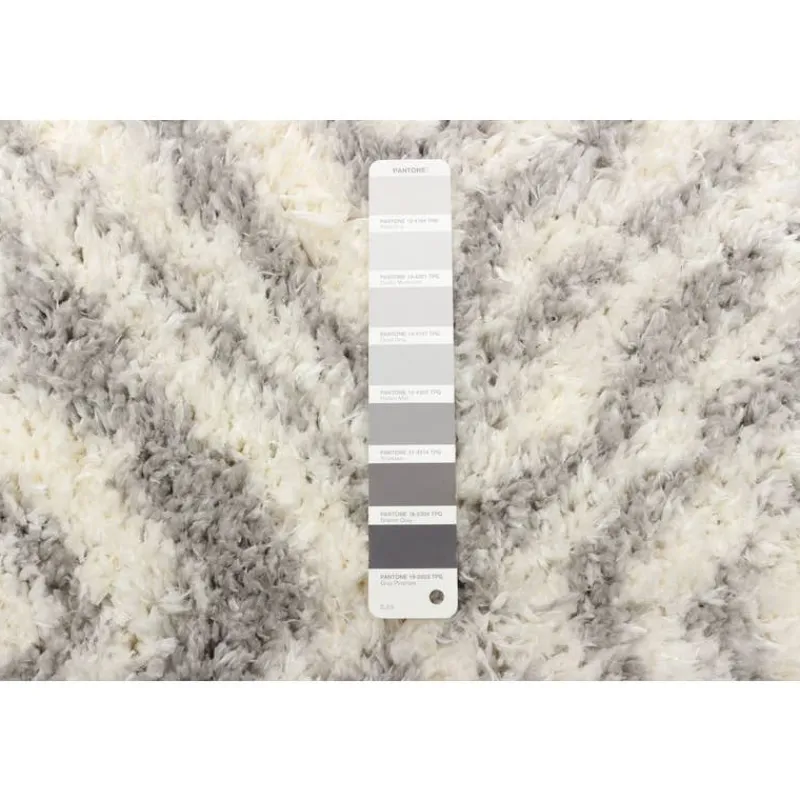 Shag Indoor Rug - 7 x 10