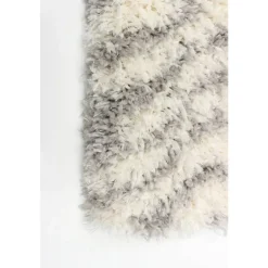 Shag Indoor Rug - 7 x 10