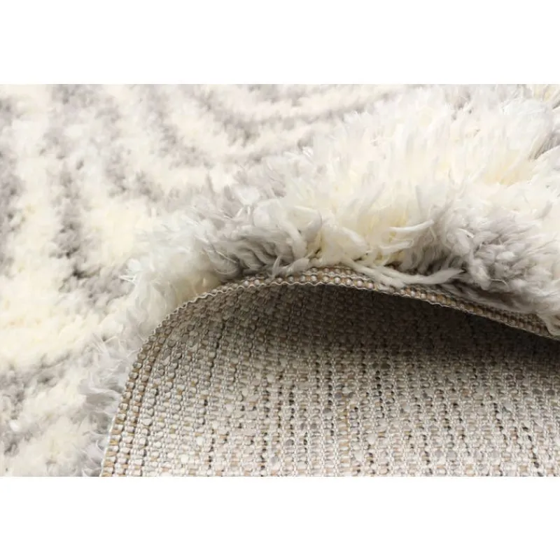 Shag Indoor Rug - 7 x 10