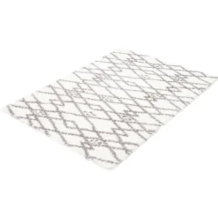 Shag Indoor Rug - 8 x 10