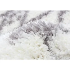 Shag Indoor Rug - 8 x 10