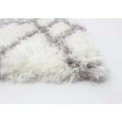 Shag Indoor Rug - 8 x 10