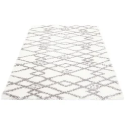 Shag Indoor Rug - 8 x 10