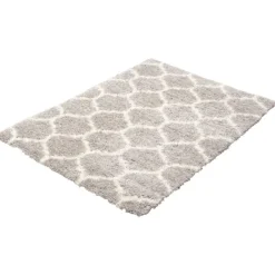 Shag Indoor Rug - 7 x 10