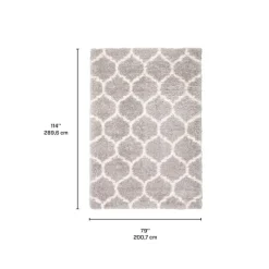 Shag Indoor Rug - 7 x 10