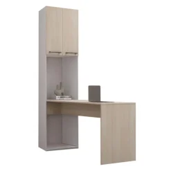 Storage Unit with Desk -