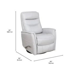 Swivel Recliner