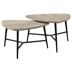Monarch Table set - 2pcs set / reclaimed wood / black metal -