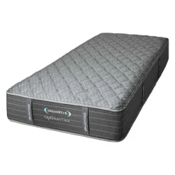 Dreamstar Twin Extra Firm Mattress with Pocket Coils- 39"