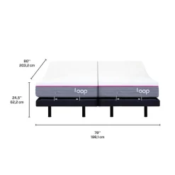 Two Adjustable Beds with Two Loop Mattresses (39"x78")