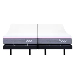 Two Adjustable Beds with Two Loop Mattresses (39